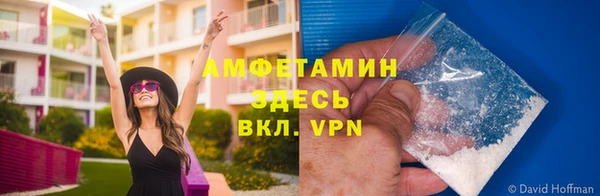стафф Санкт-Петербург