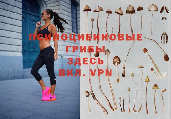 стафф Санкт-Петербург