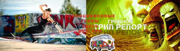 стафф Санкт-Петербург
