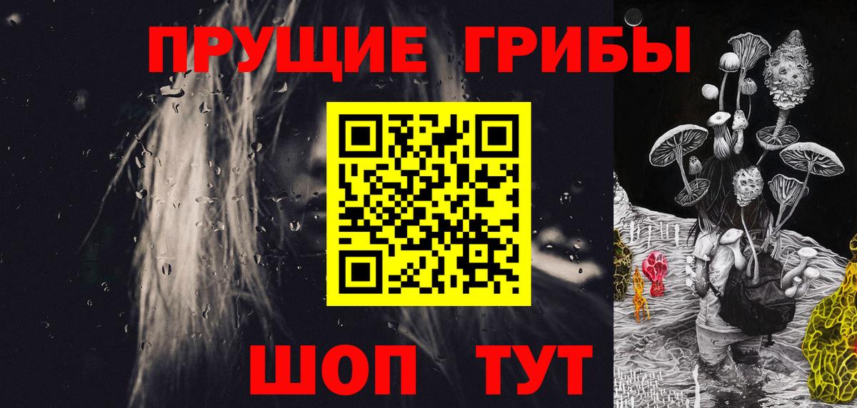 Псилоцибиновые грибы GOLDEN TEACHER  Вход с VPN  Россия 