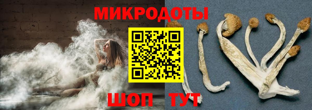 Галлюциногенные грибы ЛСД Россия