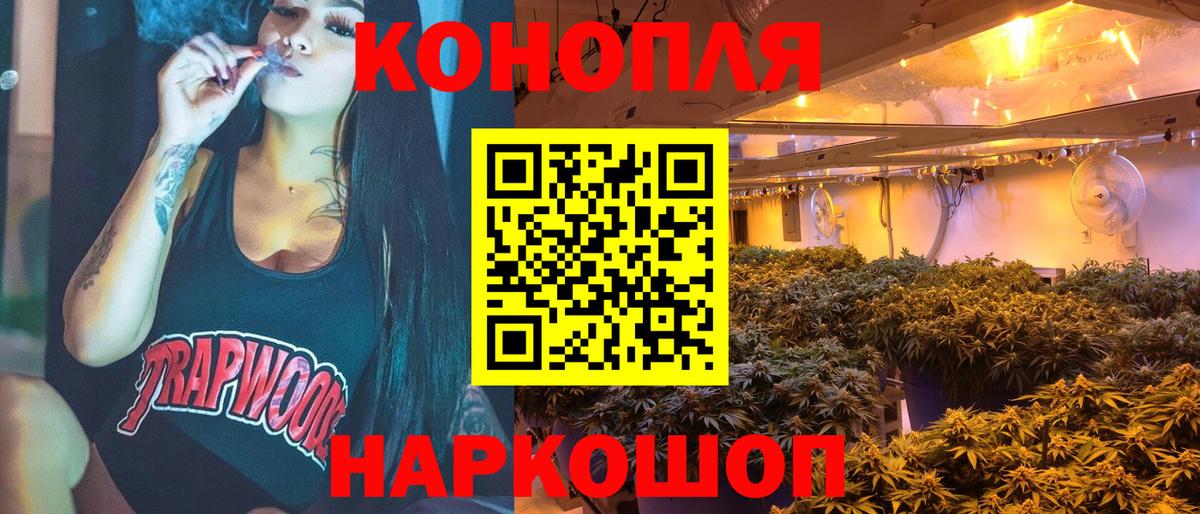 Марихуана тримм  Вход с VPN  Россия  Бошки марихуана Bruce Banner  МАРИХУАНА Amnesia 